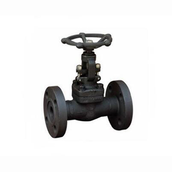 Regus 雷格斯 進口鍛鋼法蘭截止閥