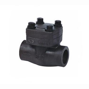 Regus 雷格斯 進口鍛鋼止回閥