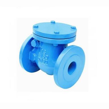 Regus 雷格斯 進口法蘭止回閥