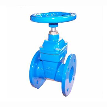 Regus 雷格斯 進(jìn)口軟密封閘閥