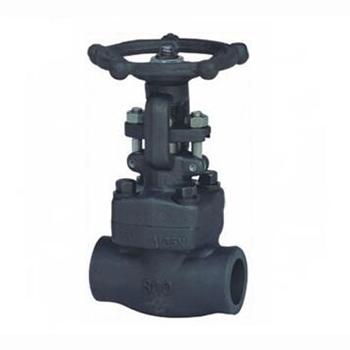 Regus 雷格斯 進(jìn)口螺紋高壓閘閥