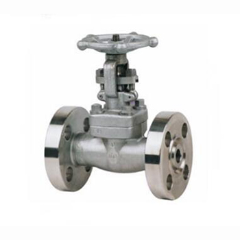 Regus 雷格斯 進(jìn)口高壓閘閥