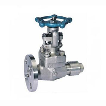 Regus 雷格斯 進(jìn)口放空閘閥