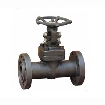 Regus 雷格斯 進(jìn)口鍛鋼閘閥