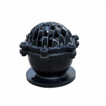 Regus 雷格斯 進(jìn)口鑄鐵底閥