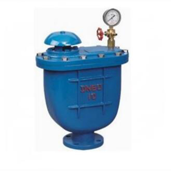 Regus 雷格斯 進(jìn)口復(fù)合式排氣閥