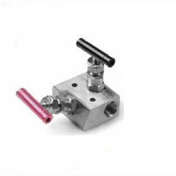 Regus 雷格斯 進(jìn)口二閥組