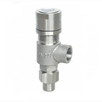 Regus 雷格斯 進(jìn)口螺紋安全閥