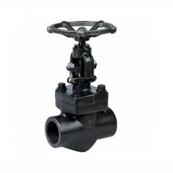 Regus 雷格斯 進(jìn)口鍛鋼截止閥