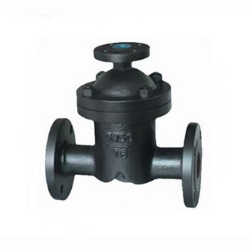 Regus 雷格斯 進(jìn)口汽水分離器