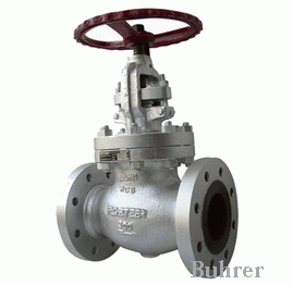 進(jìn)口截止閥 Buhrer 美國布雷爾