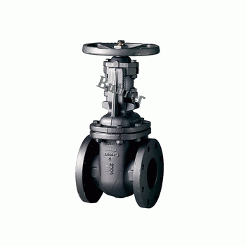 進(jìn)口鑄鐵閘閥 Buhrer 美國布雷爾