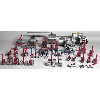 進口液壓球閥 Buhrer 美國布雷爾