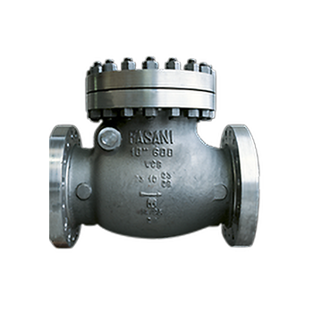 Fasani 螺栓連接閥蓋型止回閥 EMERSON