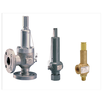 Anderson Greenwood 直接彈簧操作壓力釋放閥 60/80 系列 EMERSON