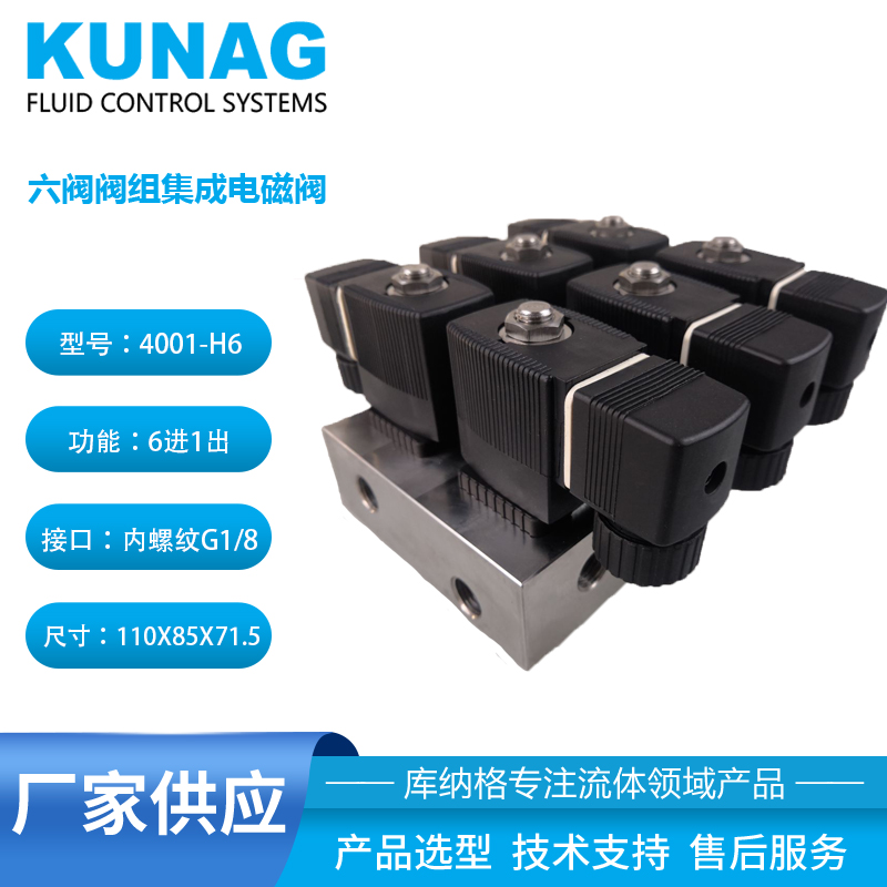 4001-H6型 不銹鋼集成閥組3013電磁閥6閥兩邊