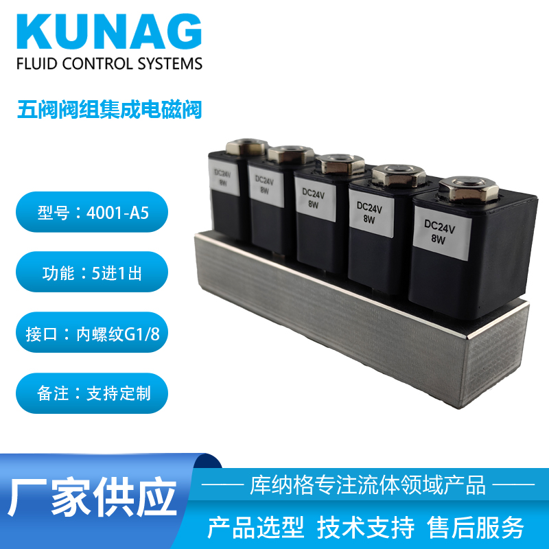 雙向耐壓電磁閥 5公斤 不銹鋼閥組 定制底板 集成閥門